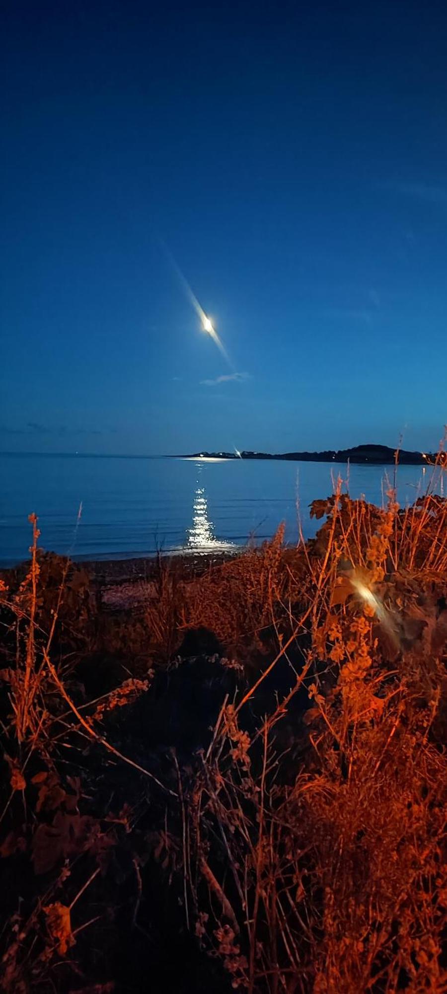 Apartament Horse Island View Luxury Retreat Kircubbin Zewnętrze zdjęcie